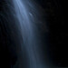 Nicholas Waddell Photo 17