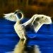 Don Andersen Photo 14