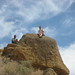 David Quade Photo 8
