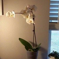Barbara Abbott Photo 36