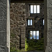 Bonnie Boswell Photo 19