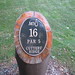 Dan Cutter Photo 18