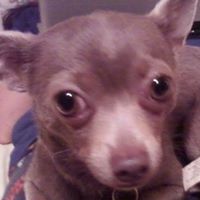 Sally Payton Photo 4
