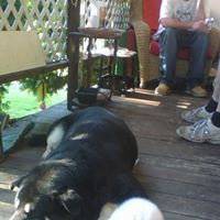 Connie Petersen Photo 39