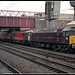 Henry Welsh Photo 10