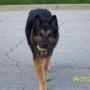 Paula Foster Photo 19