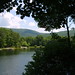 James Trout Photo 33