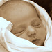 Cheryl Blaisdell Photo 20