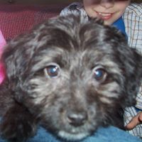 Minnie Thompson Photo 7
