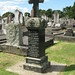 Ellen Stephens Photo 12