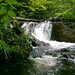 Jo Trout Photo 14