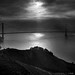 Ray Marin Photo 19