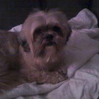 Sheena Payne Photo 7