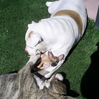 Sandra Thomason Photo 21