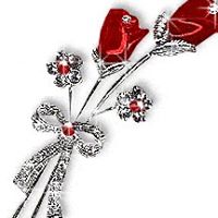 Sudha Patel Photo 23