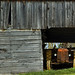 Jeffrey Blount Photo 11