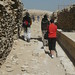 Carol Bardo Photo 4