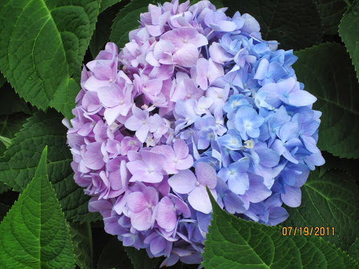 Patricia Warner Photo 32