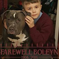 Stacy Westfall Photo 19