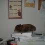 Teresa Welker Photo 16