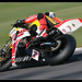 Mark Ellison Photo 12