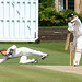Steve Bailey Photo 28