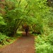 Deborah Moss Photo 22