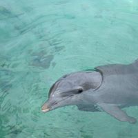 Karen Backus Photo 26
