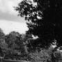 Joseph Leach Photo 38