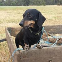 Kerrie Robbins Photo 7
