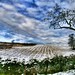 Craig Winters Photo 17
