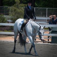 Lynn Noel Photo 17