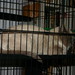 Walter Downing Photo 9