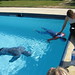 Sue Pugh Photo 23
