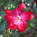 Martha Gonzales Photo 15