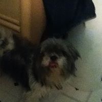 Jacob Simmons Photo 12