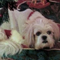 Mary Detwiler Photo 26