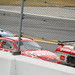 Travis Stewart Photo 15