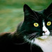 Candace Furry Photo 8