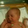 Terri Harmon Photo 20