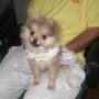 Beth Hopkins Photo 21