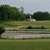 Debra Jaramillo Photo 11