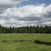 Tammy Meadows Photo 19