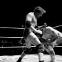 Thomas Chamberlain Photo 25