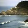 Linda Macdonald Photo 27