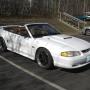 Eric Palumbo Photo 20