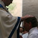 Thomas Hammel Photo 15