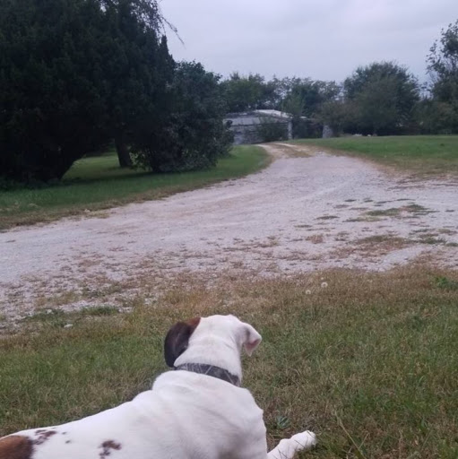 George Fields Photo 20