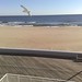 Johnathan Beach Photo 16