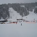 Lloyd Sharp Photo 11